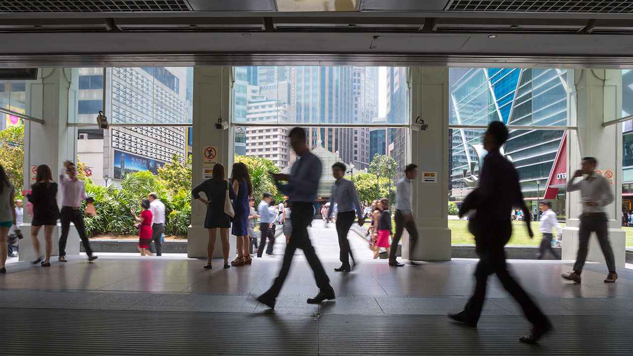 Zig-Zag-Image-HUB-RIMS-Property